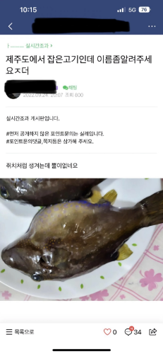 낚린이가 잡은 생선때문에 난리 난 낚시카페.jpg