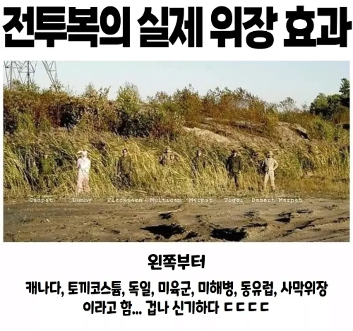 전투복의 위장효과