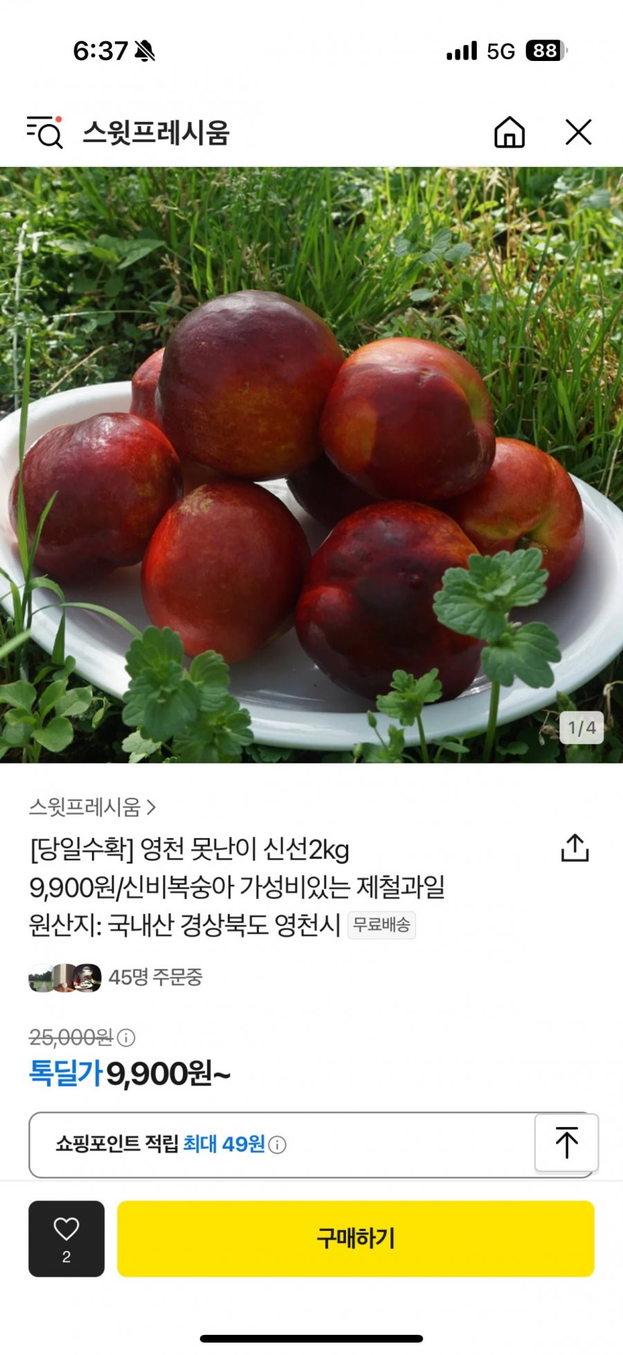 [톡딜] 못난이 신선복숭아 2kg (9,900/무료)