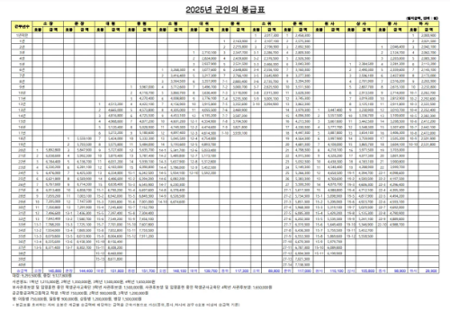 보기쉽고 유용한 2025년 군인 봉급표(국군재정단)